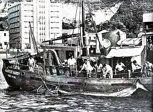 1955_Whale tied to boat